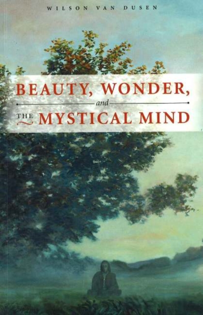 BEAUTY, WONDER, AND THE MYSTICAL MIND, Paperback / softback Book