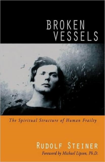 Broken Vessels : The Spiritual Structure of Human Frailty, Paperback / softback Book