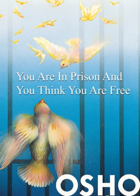 You Are in Prison and You Think You Are Free, EPUB eBook