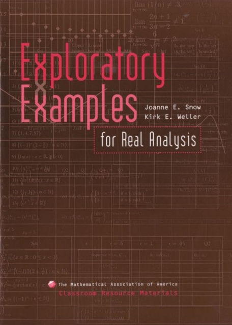 Exploratory Examples for Real Analysis, Paperback Book