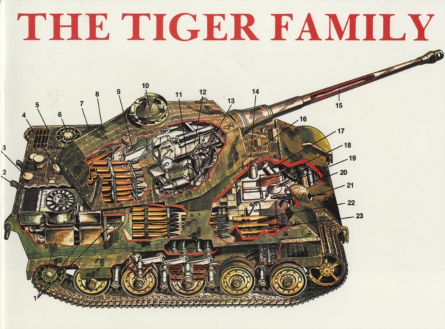 The Tiger Family, Paperback / softback Book