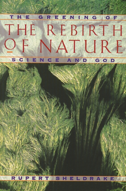 Greening of the Rebirth of Nature Science and God : The Greening of Science and God, Paperback / softback Book