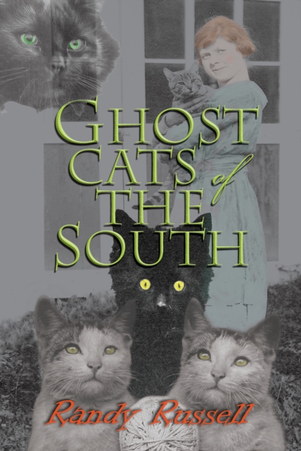 Ghost Cats of the South, EPUB eBook
