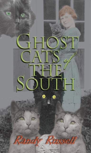 Ghost Cats of the South, Paperback / softback Book
