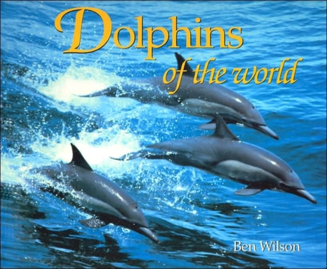 Dolphins of the World, Paperback / softback Book