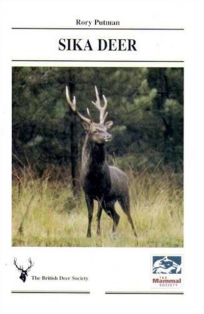 Sika Deer, Paperback / softback Book
