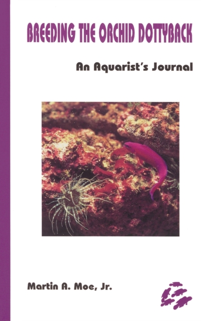 Breeding the Orchid Dottyback, Pseudochromis Fridmani : An Aquarist's Journal, Paperback / softback Book