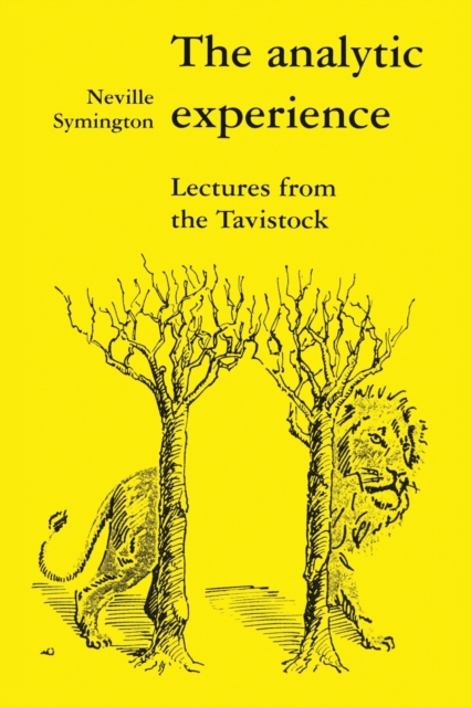 The Analytic Experience : Lectures from the Tavistock, Paperback / softback Book