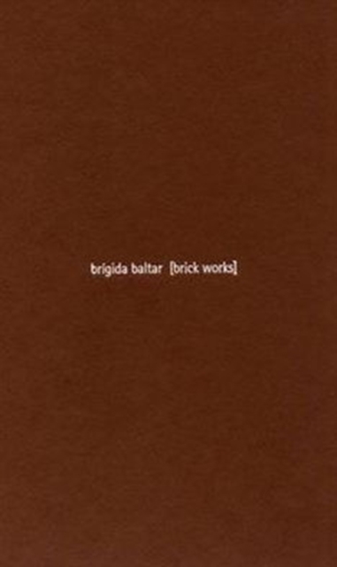 Brigida Baltar : Brick Works, Hardback Book