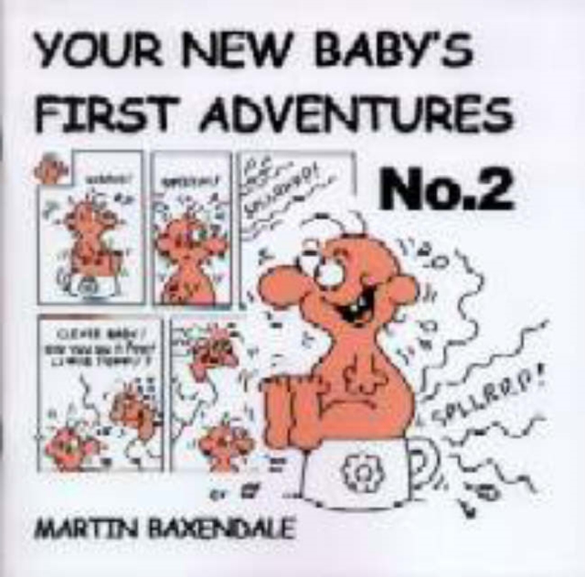 Your New Baby's First Adventures : No. 2, Paperback / softback Book