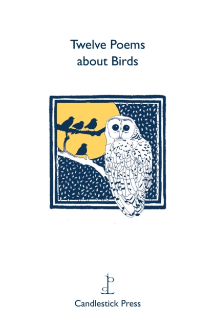 Twelve Poems About Birds, Pamphlet Book