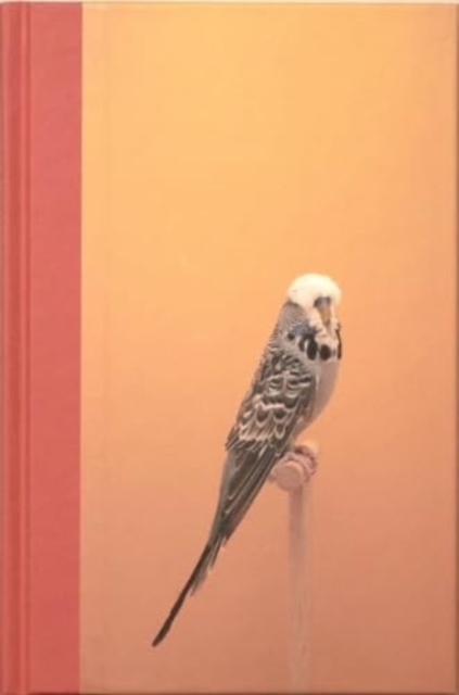 An Incomplete Dictionary of Show Birds, Hardback Book