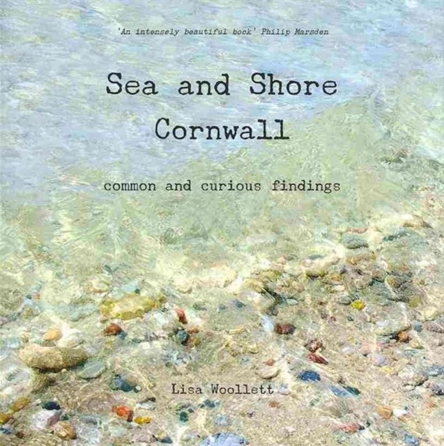 Sea and Shore Cornwall : Common and Curious Findings, Paperback / softback Book