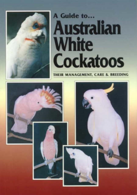 Australian White Cockatoos, Paperback / softback Book