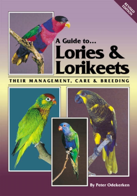 Lories and Lorikeets, Paperback / softback Book