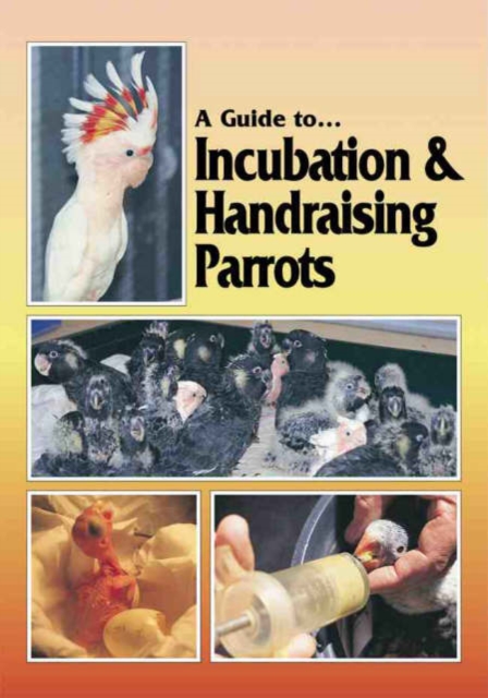Incubation and Handraising Parrots, Paperback / softback Book
