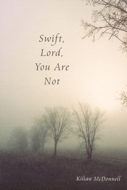 Swift, Lord, You Are Not, EPUB eBook