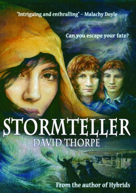 Stormteller, EPUB eBook