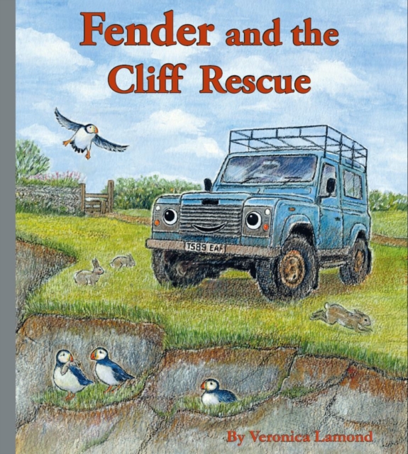 Fender and the Cliff Rescue : 6th book in the Landy and Friends Series 6, Hardback Book