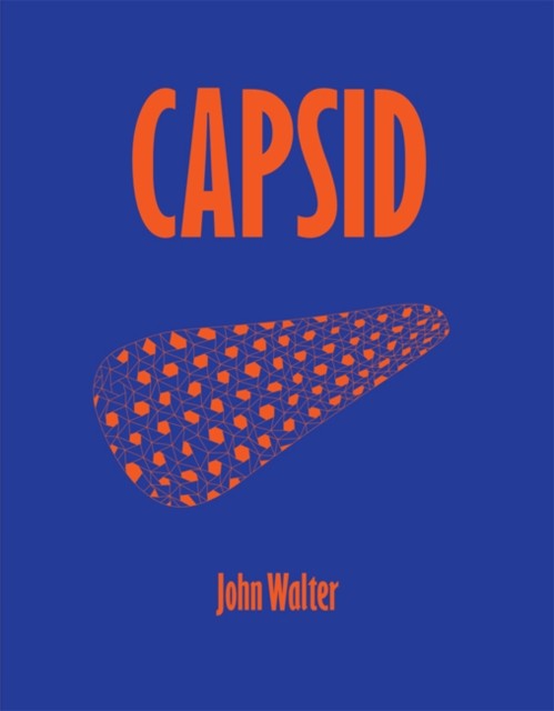 John Walter: CAPSID, Paperback / softback Book