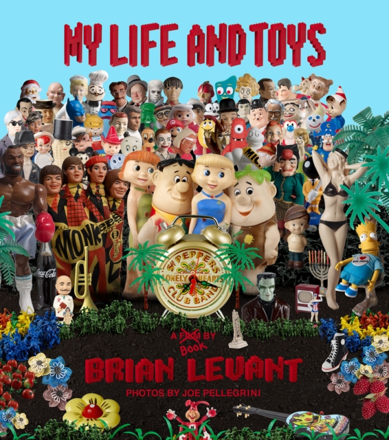 My Life and Toys, Hardback Book