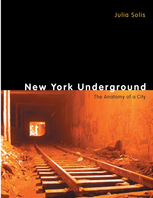 New York Underground : The Anatomy of a City, PDF eBook