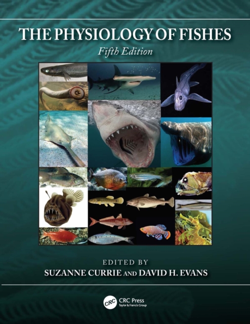 The Physiology of Fishes, PDF eBook