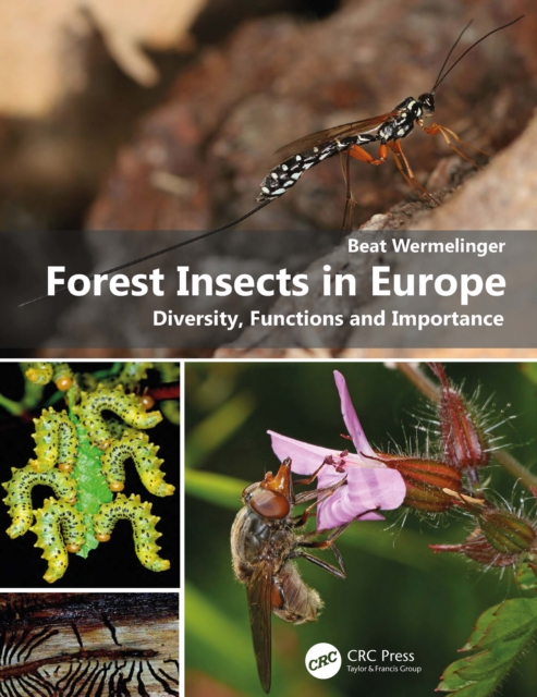 Forest Insects in Europe : Diversity, Functions and Importance, PDF eBook