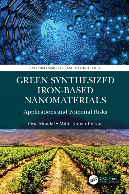 Green Synthesized Iron-based Nanomaterials : Applications and Potential Risks, PDF eBook