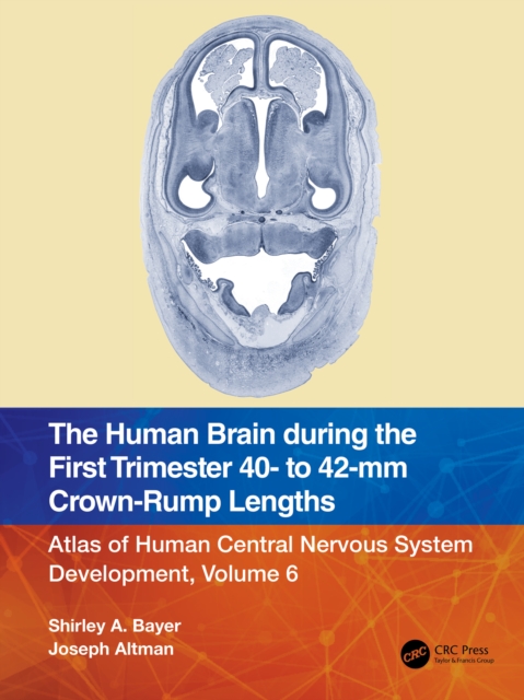 The Human Brain during the First Trimester 40- to 42-mm Crown-Rump Lengths : Atlas of Human Central Nervous System Development, Volume 6, PDF eBook