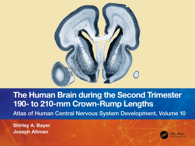 The Human Brain during the Second Trimester 190- to 210-mm Crown-Rump Lengths : Atlas of Human Central Nervous System Development, Volume 10, EPUB eBook