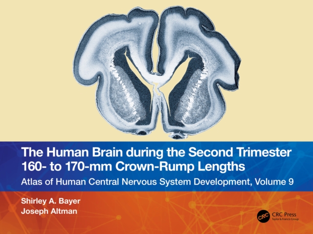 The Human Brain during the Second Trimester 160- to 170-mm Crown-Rump Lengths : Atlas of Human Central Nervous System Development, Volume 9, EPUB eBook