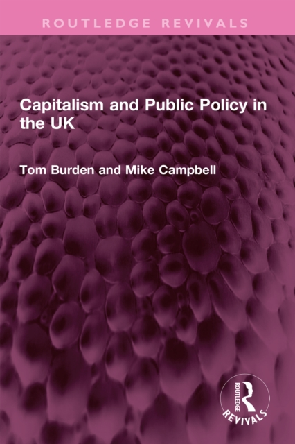Capitalism and Public Policy in the UK, EPUB eBook