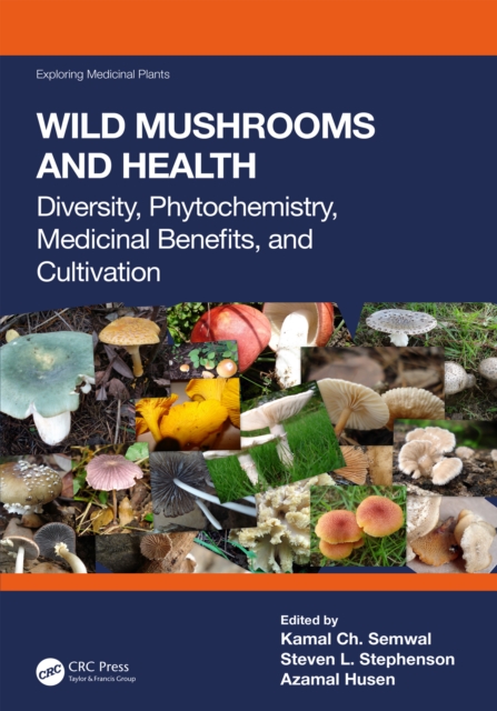 Wild Mushrooms and Health : Diversity, Phytochemistry, Medicinal Benefits, and Cultivation, PDF eBook
