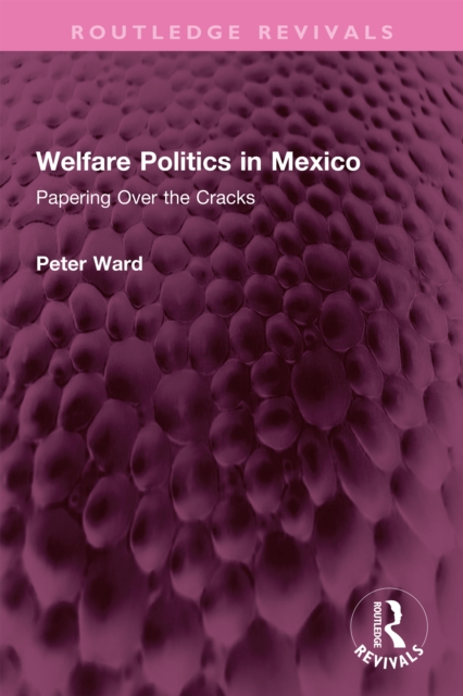 Welfare Politics in Mexico : Papering Over the Cracks, PDF eBook