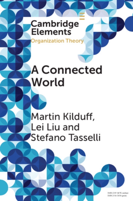 A Connected World : Social Networks and Organizations, EPUB eBook