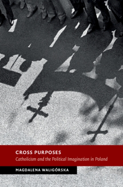 Cross Purposes : Catholicism and the Political Imagination in Poland, Paperback / softback Book