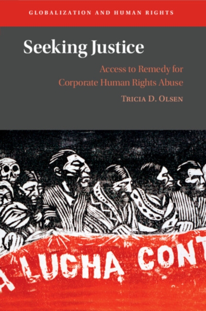 Seeking Justice : Access to Remedy for Corporate Human Rights Abuse, Paperback / softback Book