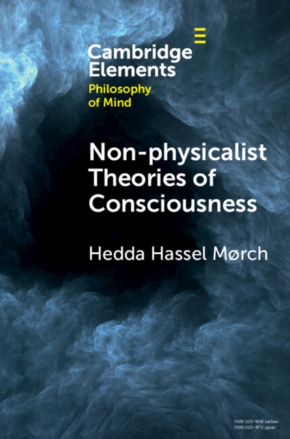Non-physicalist Theories of Consciousness, Paperback / softback Book