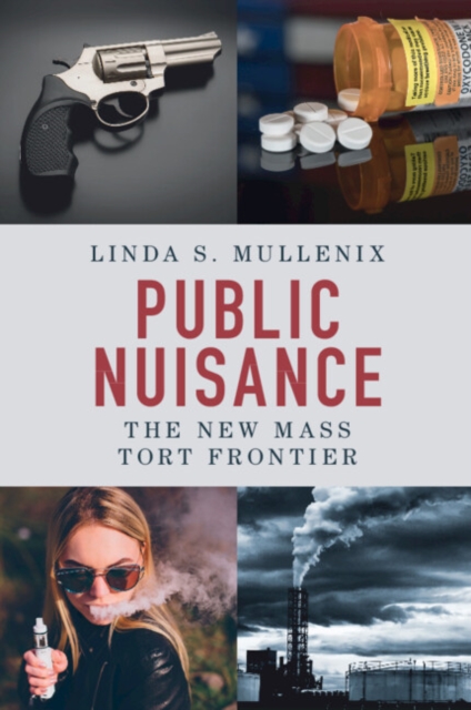 Public Nuisance : The New Mass Tort Frontier, Paperback / softback Book