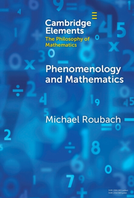 Phenomenology and Mathematics, Hardback Book