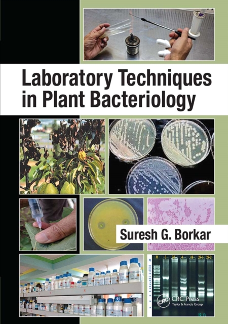 Laboratory Techniques in Plant Bacteriology, Paperback / softback Book