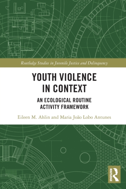 Youth Violence in Context : An Ecological Routine Activity Framework, Paperback / softback Book