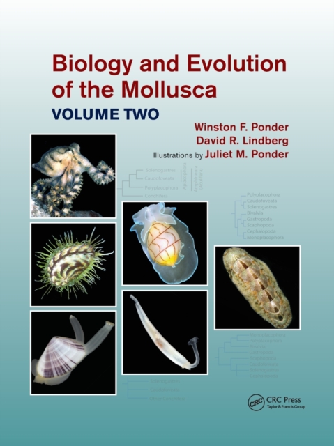 Biology and Evolution of the Mollusca, Volume 2, Paperback / softback Book