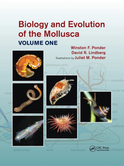 Biology and Evolution of the Mollusca, Volume 1, Paperback / softback Book
