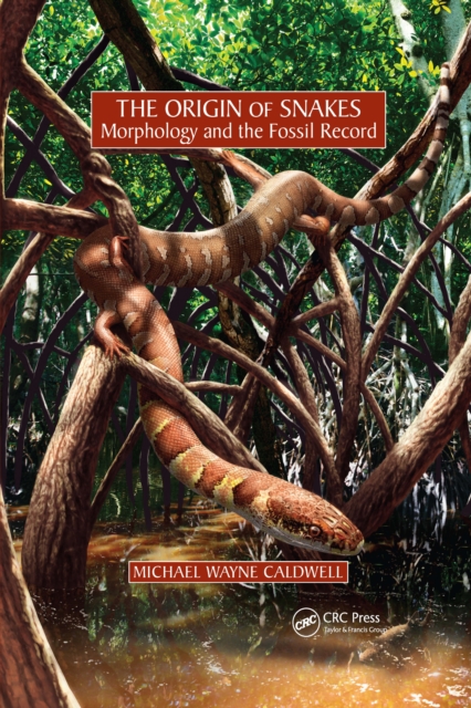 The Origin of Snakes : Morphology and the Fossil Record, Paperback / softback Book