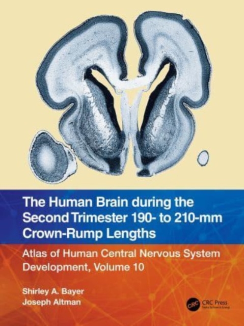 The Human Brain during the Second Trimester 190– to 210–mm Crown-Rump Lengths : Atlas of Human Central Nervous System Development, Volume 10, Paperback / softback Book