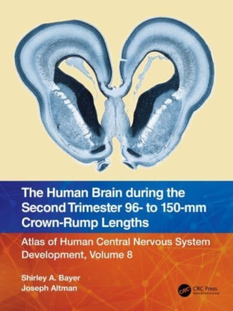 The Human Brain during the Second Trimester 96– to 150–mm Crown-Rump Lengths : Atlas of Human Central Nervous System Development, Volume 8, Paperback / softback Book