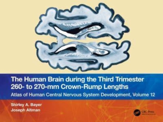The Human Brain during the Third Trimester 260– to 270–mm Crown-Rump Lengths : Atlas of Central Nervous System Development, Volume 12, Paperback / softback Book