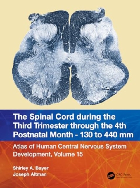 The Spinal Cord during the Middle Second Trimester through the Fourth Postnatal Month 130- to 440-mm Crown-Rump Lengths : Atlas of Central Nervous System Development, Volume 15, Hardback Book